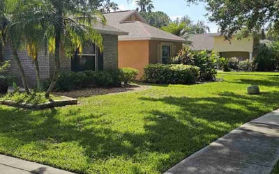 Photo of Missy B.'s yard after getting lawn care in Mableton, GA