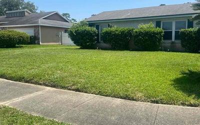 Photo of Mark C.'s yard after getting lawn care in Vero Beach, FL