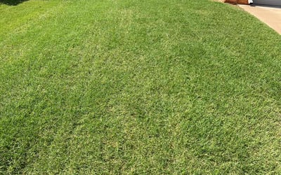 Photo of Taryn K.'s yard after getting lawn care in Reynoldsburg, OH