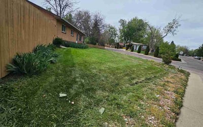 Photo of Kevin F.'s yard after getting lawn care in O'Fallon, IL