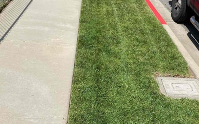 Photo of Aiesha P.'s yard after getting lawn care in Blythe, CA