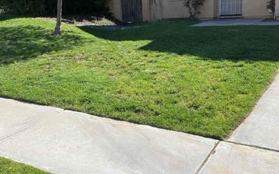 Photo of Allen T.'s yard after getting lawn care in Big Bear Lake, CA