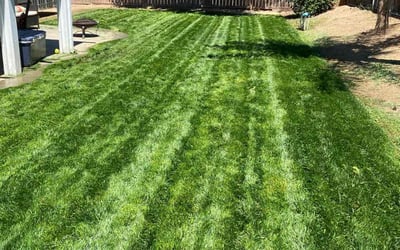 Photo of Jeremy P.'s yard after getting lawn care in Twentynine Palms, CA