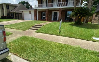 Photo of Paige P.'s yard after getting lawn care in Chalmette, LA