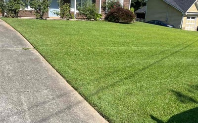 Photo of George P.'s yard after getting lawn care in Chatsworth, GA