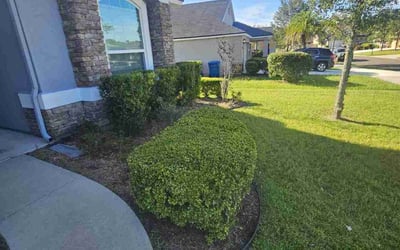 Photo of Derek S.'s yard after getting lawn care in Calexico, CA