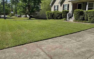 Photo of Mary E.'s yard after getting lawn care in Temple, GA