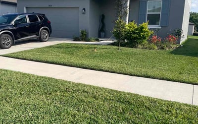 Photo of Benjamin P.'s yard after getting lawn care in Saint Simons Island, GA