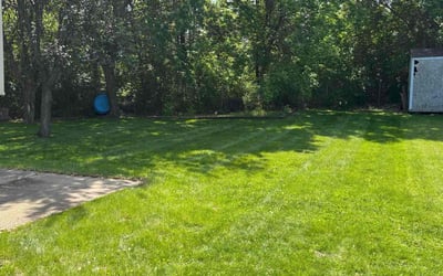 Photo of Jann W.'s yard after getting lawn care in Salt Lake City, UT