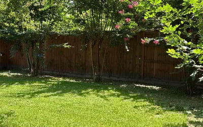 Photo of Eduek I.'s yard after getting lawn care in Keller, TX