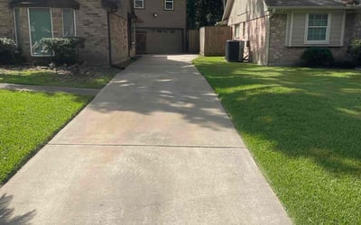 Photo of Patricia K.'s yard after getting lawn care in College Park, MD