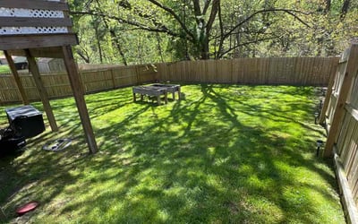 Photo of Anu C.'s yard after getting lawn care in Havertown, PA