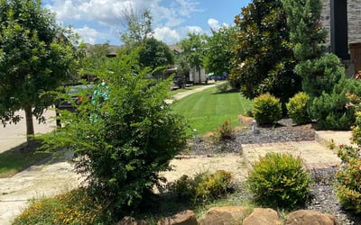 Photo of Emily C.'s yard after getting lawn care in East Falmouth, MA