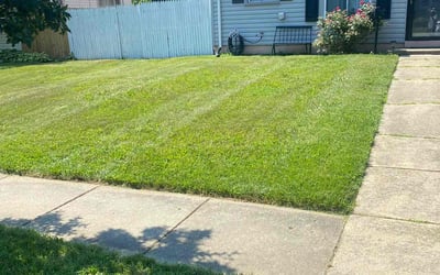 Photo of Rahmira S.'s yard after getting lawn care in Hyattsville, MD