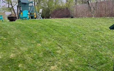 Photo of Kelli B.'s yard after getting lawn care in Muncie, IN