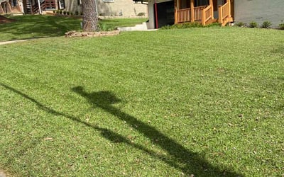 Photo of Mary R.'s yard after getting lawn care in Davenport, IA