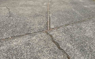 Photo of Mark J.'s yard after getting lawn care in Tewksbury, MA
