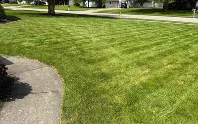 Photo of Rahil N.'s yard after getting lawn care in Lewisville, TX
