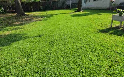 Photo of James D.'s yard after getting lawn care in Scarborough, ME