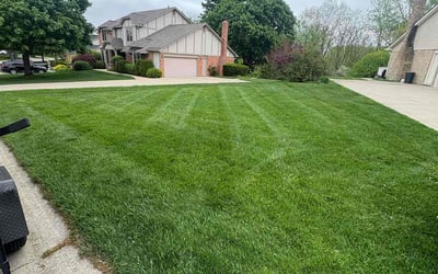 Photo of Maxwell W.'s yard after getting lawn care in Boardman, OH