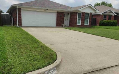 Photo of Tyris R.'s yard after getting lawn care in Union, NJ