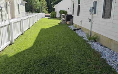 Photo of Karen L.'s yard after getting lawn care in Hanahan, SC