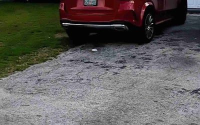 Photo of Veronica C.'s yard after getting lawn care in Vineland, NJ