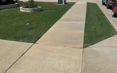 Photo of Esmeralda O.'s yard after getting lawn care in Sherman, TX