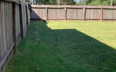 Photo of James F.'s yard after getting lawn care in Hempstead, NY