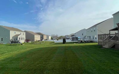 Photo of Shelley P.'s yard after getting tree care in Pataskala, OH