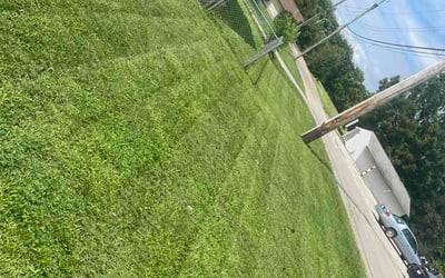 Photo of Missy Y.'s yard after getting lawn care in Hutto, TX