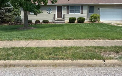 Photo of Mike T.'s yard after getting lawn care in La Marque, TX