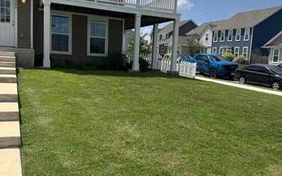 Photo of Yaroslava G.'s yard after getting lawn care in Kyle, TX