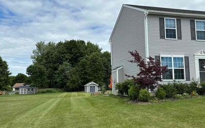 Photo of Maurine W.'s yard after getting lawn care in Madison, OH
