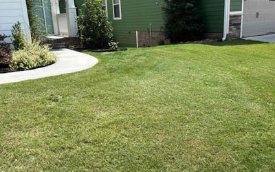 Photo of Brent O.'s yard after getting lawn care in Simpsonville, SC