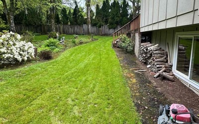 Photo of David G.'s yard after getting lawn care in Salem, OR