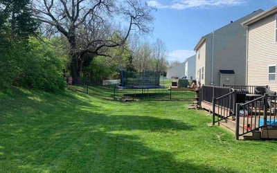 Photo of Melissa G.'s yard after getting lawn care in Franklin, OH