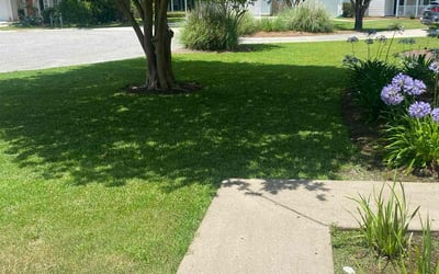 Photo of Angela K.'s yard after getting lawn care in Okatie, SC