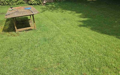 Photo of Tushar R.'s yard after getting lawn care in Clifton, NJ