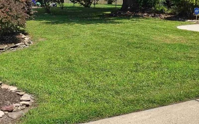 Photo of Shannon S.'s yard after getting lawn care in Belleville, MI