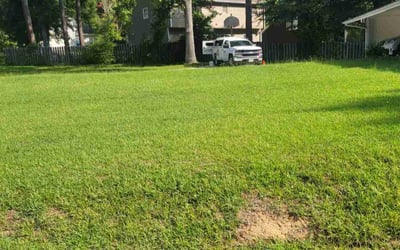 Photo of Angie H.'s yard after getting lawn care in Auburn, GA
