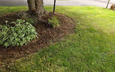 Photo of Robert B.'s yard after getting lawn care in Valparaiso, IN