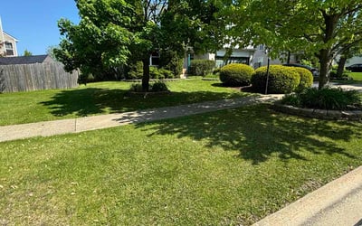Photo of Genelle J.'s yard after getting lawn care in Zion, IL