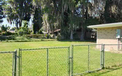 Photo of Ruth M.'s yard after getting lawn care in Fishkill, NY