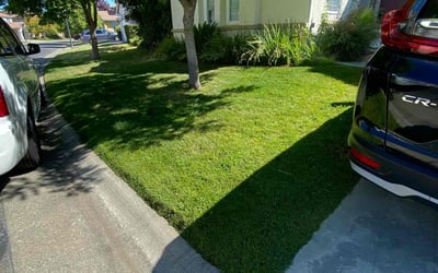 Photo of Anna H.'s yard after getting lawn care in Sacramento, CA