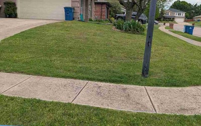 Photo of Paul T.'s yard after getting lawn care in Donna, TX
