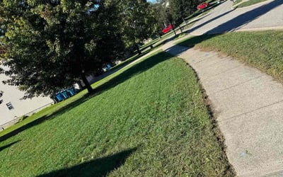 Photo of Marygrace E.'s yard after getting lawn care in Los Banos, CA