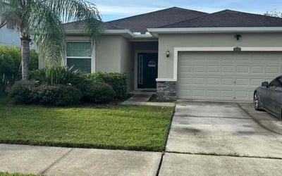 Photo of Graham F.'s yard after getting lawn care in Palm Harbor, FL