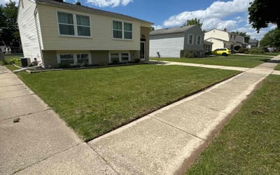 Photo of Shawn T.'s yard after getting lawn care in Commerce Township, MI