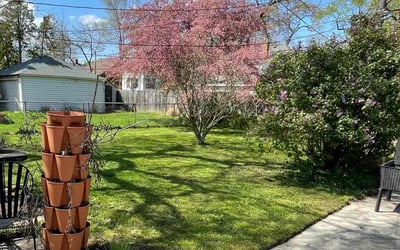 Photo of Carleen T.'s yard after getting lawn care in Ferndale, MI